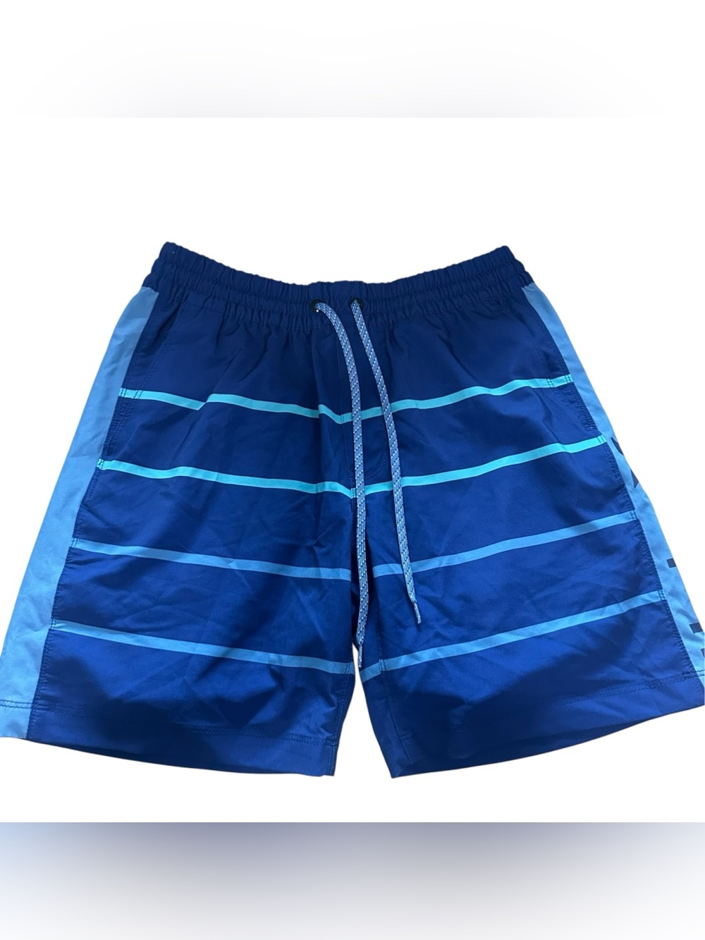 Hurley Mens Blue Striped Volley Swim Shorts Size S